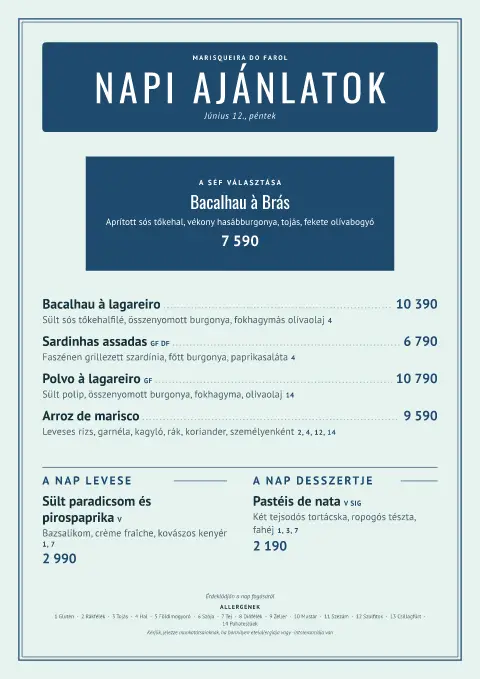 Lighthouse Catch – étlapsablon előnézete